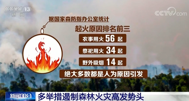 保護(hù)森林，還地球家園一點綠，高登一直在行動