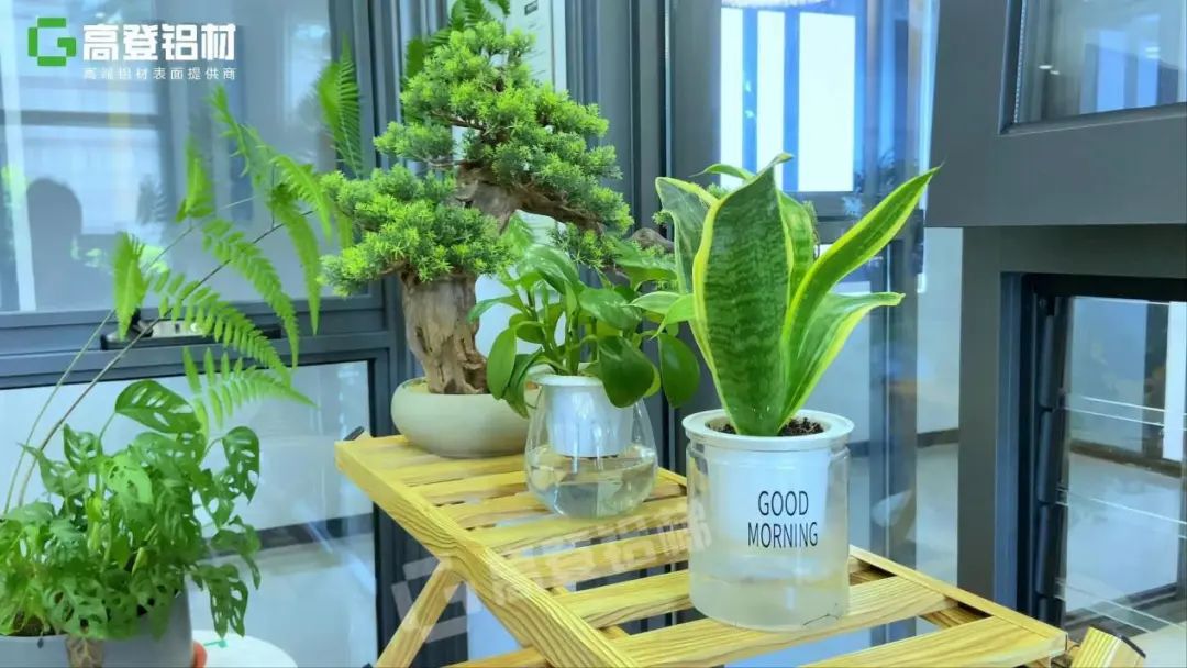 一個簡單的花架，卻美了整個生活~