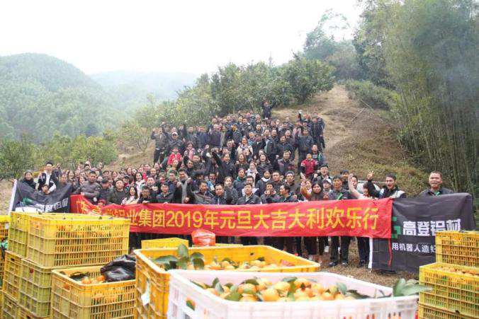 這一年，很多事，讓高登樂不思蜀