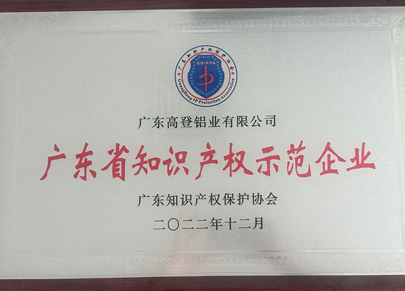 廣東省知識產權示范企業